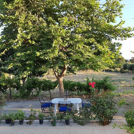Swan House Panoramic View - Near The Sea Villa Zipárion Dış mekan fotoğraf