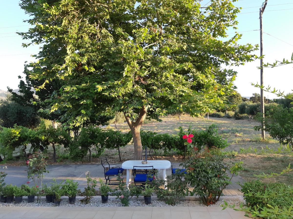 Swan House Panoramic View - Near The Sea Villa Zipárion Dış mekan fotoğraf